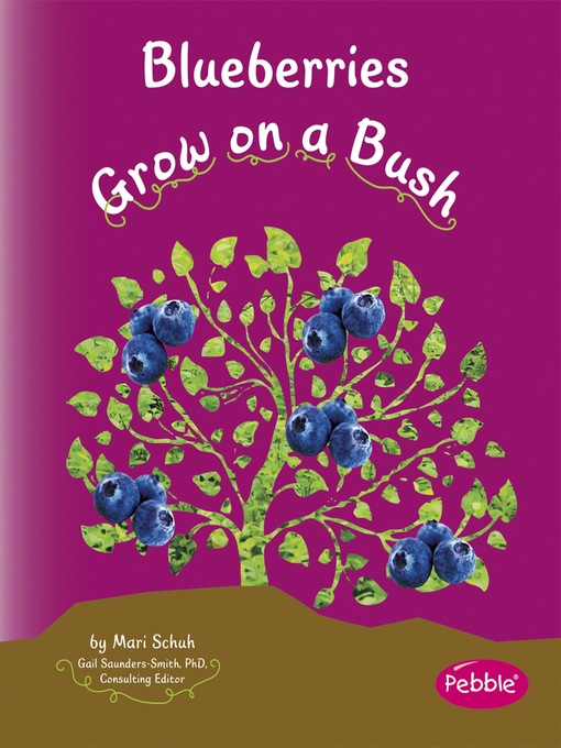 Cover image for Blueberries Grow on a Bush